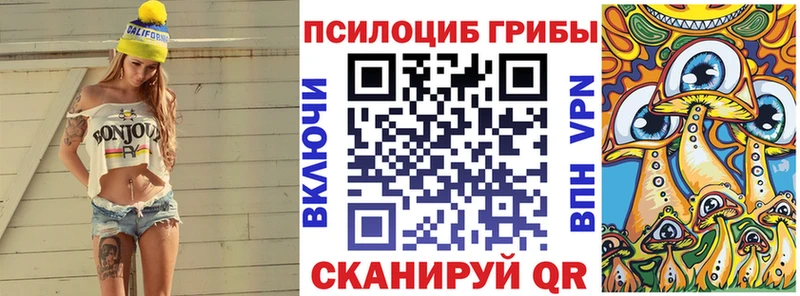 Галлюциногенные грибы Psilocybine cubensis  Афипский 